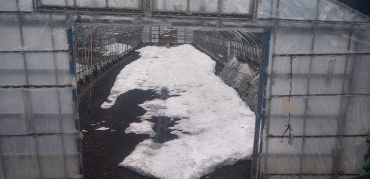 例年より早く！