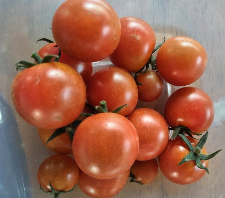 冷蔵庫リニューアルしました！