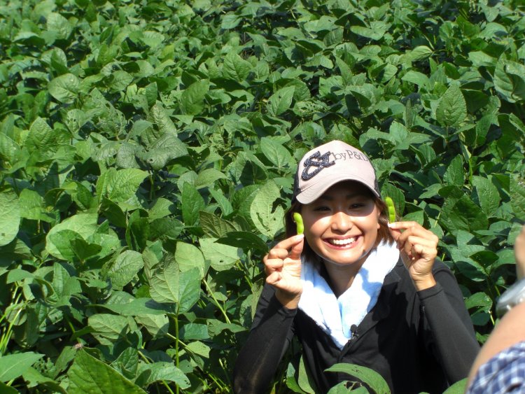 いたや毛豆試食販売会 in 三越伊勢丹　開催のお知らせ！
