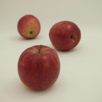 ジョナゴールド