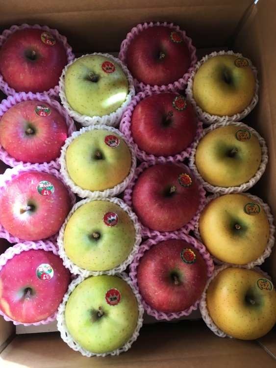 全国発送　承り中！！