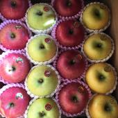 全国発送　承り中！！