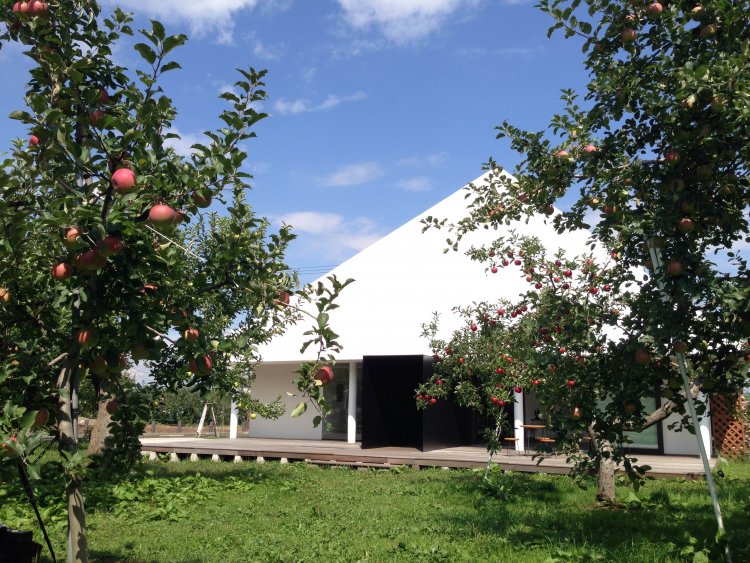 HARVEST MARKETに参加しました！