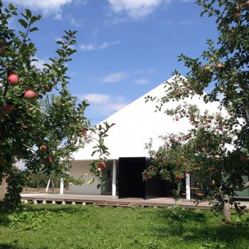 HARVEST MARKETに参加しました！