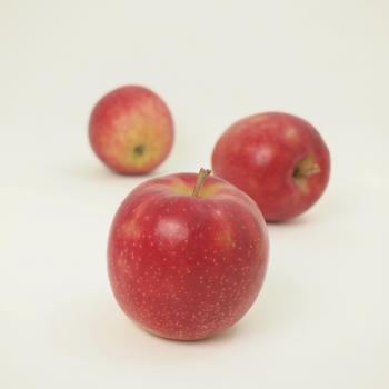 ジョナゴールド