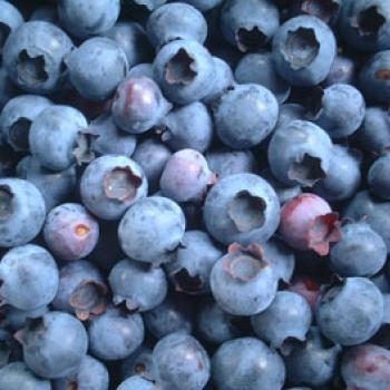 完熟ブルーベリー
