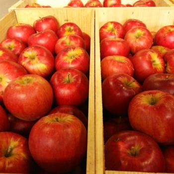 サンつがる！終了！！