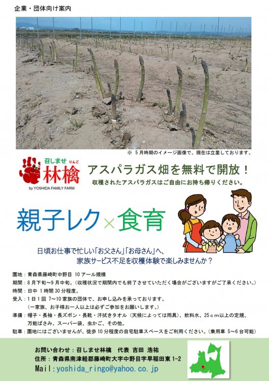 アスパラガス畑を無料で開放！【親子レク×食育】