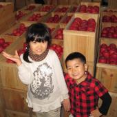 召しませ林檎 召しませ林檎