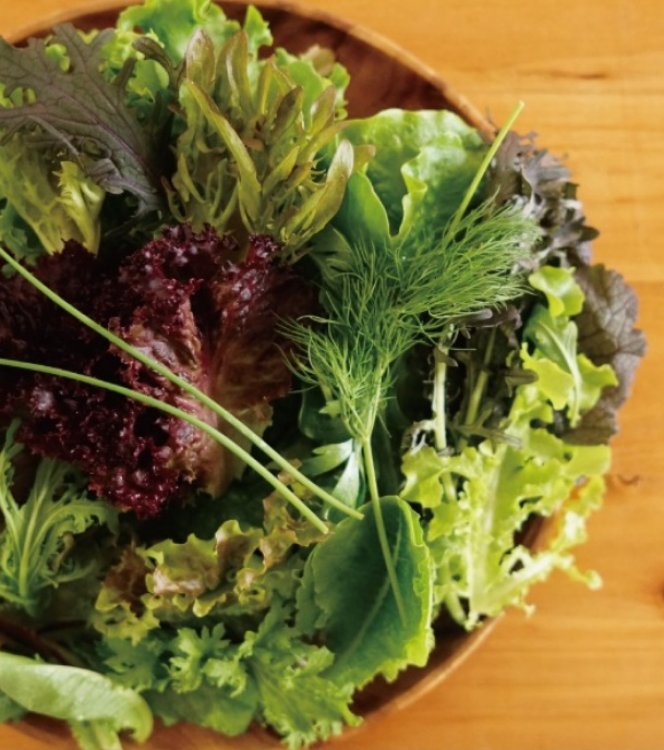 ハーブとにんにくの「みどりの里」 HARVEST MARKETに参加しました！