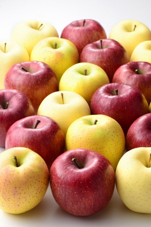 HARVEST　MARKETに参加しました！