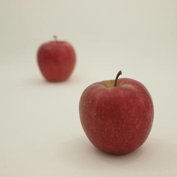 サンジョナゴールド