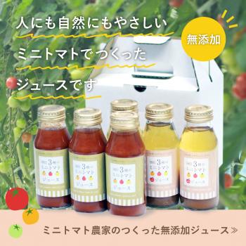 ミニトマトとりんごのミックスジュース