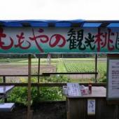 もも・りんご直売所「ももや」