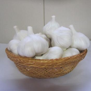 にんにく