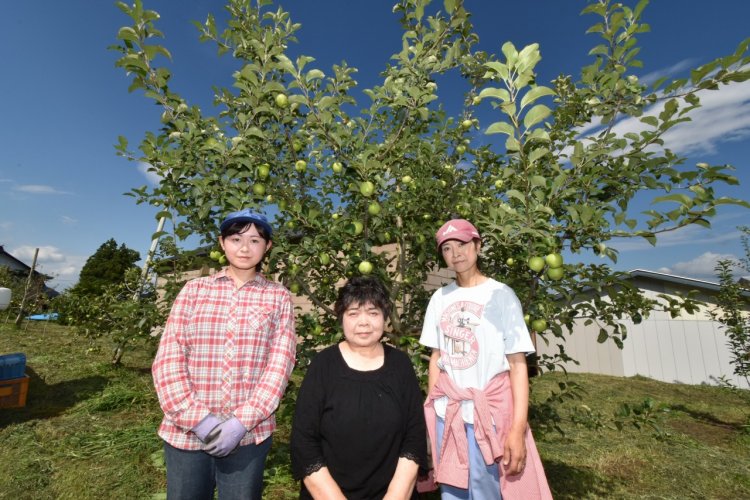 美味しいです！深持りんごサイダー（ブレンド・王林）