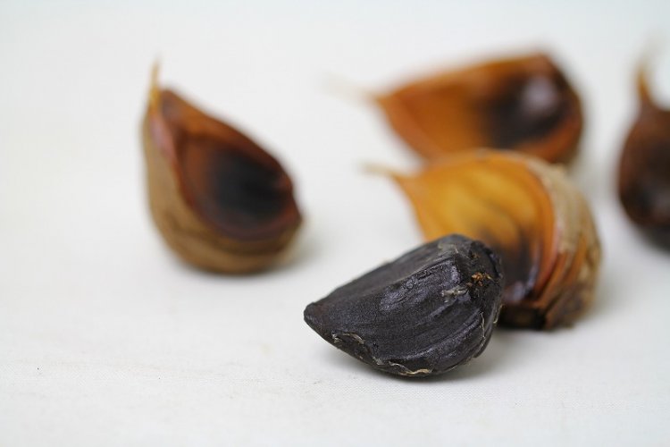 高い品質の黒にんにく-ブラック・ガーリック・カンパニー-HARVEST MARKET参加しました！