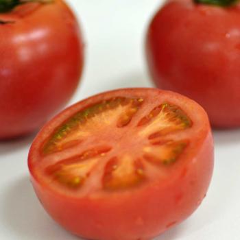 完熟ミニトマト