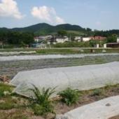 奈良農園 奈良農園