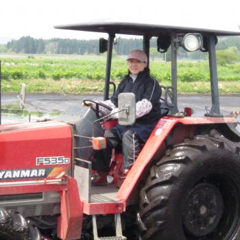 お米消費拡大、米粉スイーツ「企業組合ノエル」HARVEST MARKET参加しました！