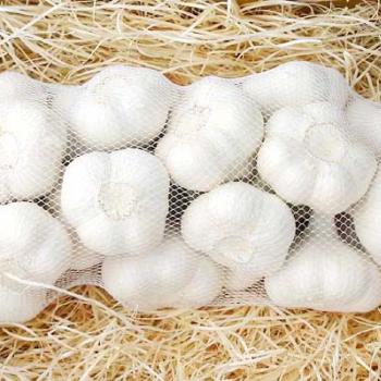 にんにく(ご贈答用～ご家庭用)