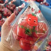 ともちゃんトマト（フルーツトマト）