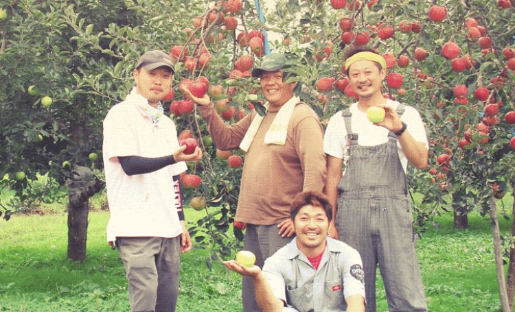 ホームページリニューアル！通販できるようになりました！