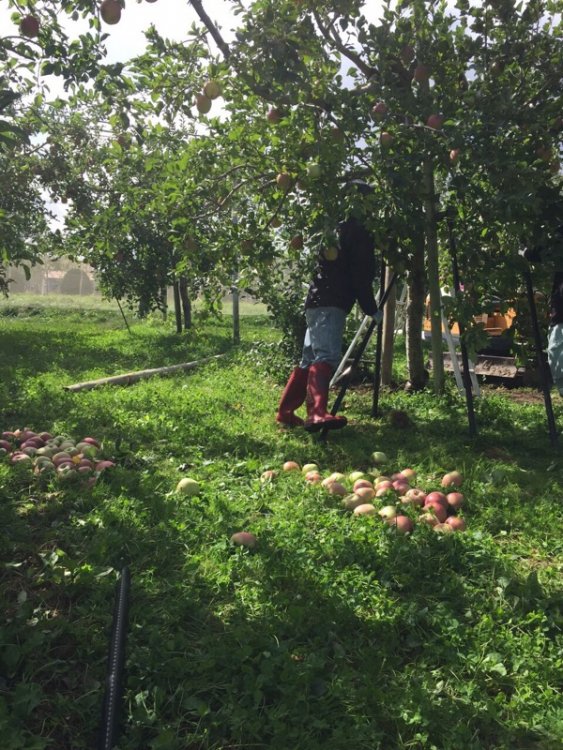 爆弾低気圧による強風の影響