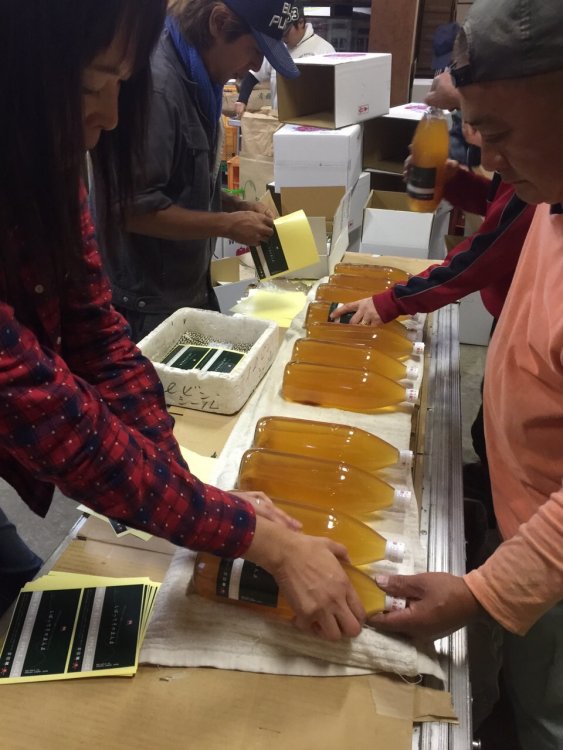 『新米あきたこまち』『りんごジュース』出荷開始！！