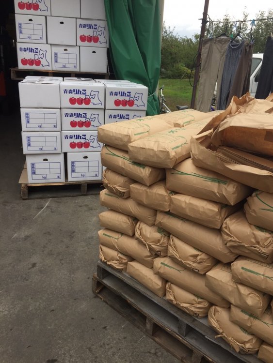 『新米あきたこまち』『りんごジュース』出荷開始！！