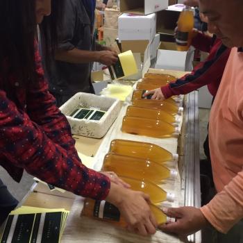 『新米あきたこまち』『りんごジュース』出荷開始！！