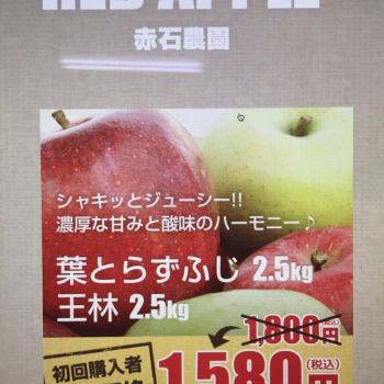 初回購入者限定価格