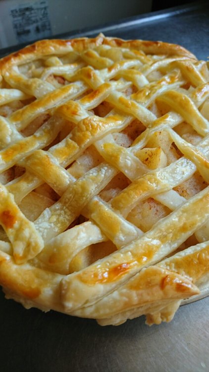 田植えの季節です！！