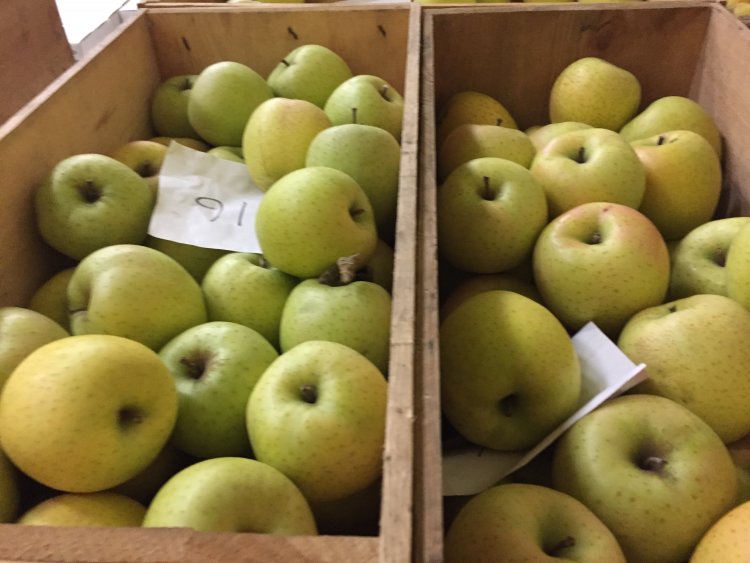 スマフレ　王林♪