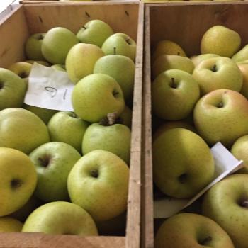 スマフレ　王林♪