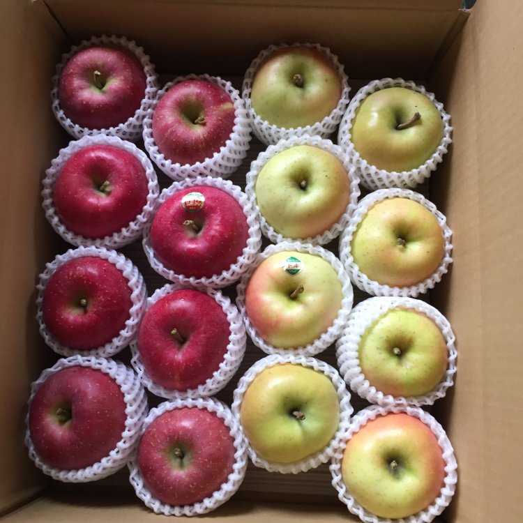 りんご定期便ご注文受付中！！