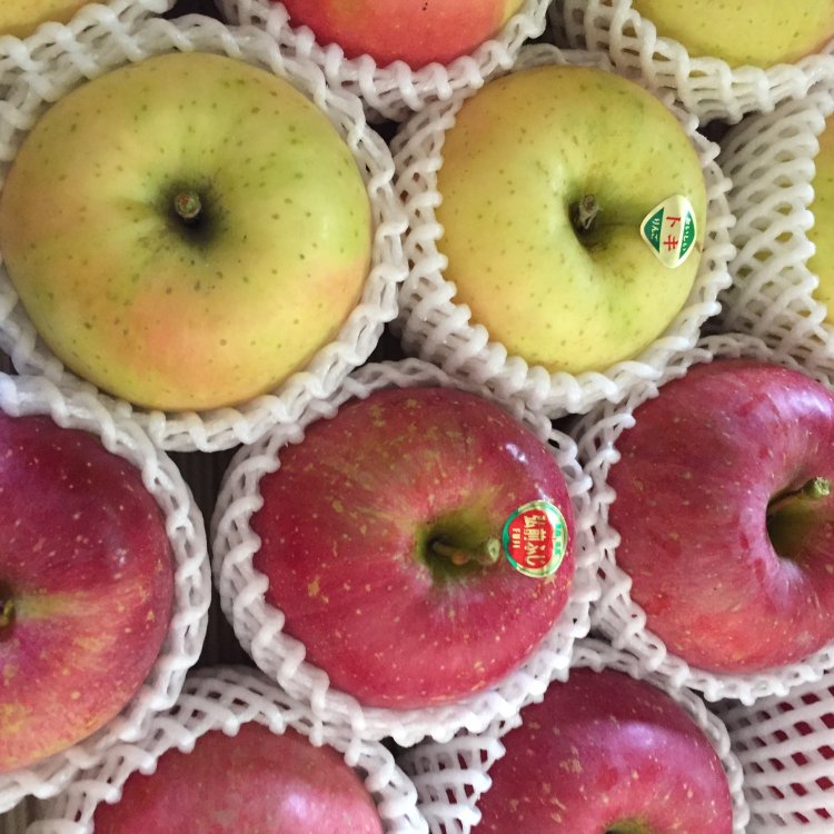 りんご定期便ご注文受付中！！