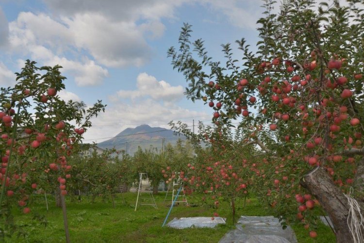とってもお得な初回限定価格！！