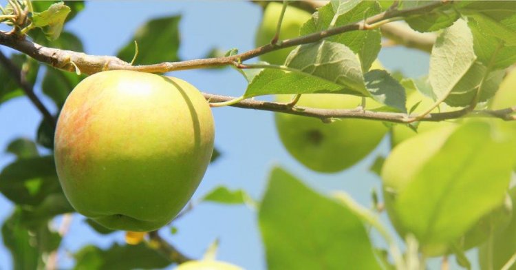 とってもお得な初回限定価格！！