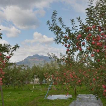 とってもお得な初回限定価格！！