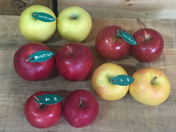 小玉オススメ２種詰合せがお買得！！