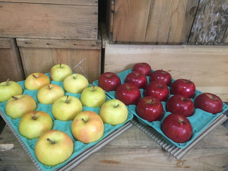 小玉オススメ２種詰合せがお買得！！