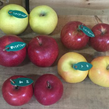 小玉オススメ２種詰合せがお買得！！