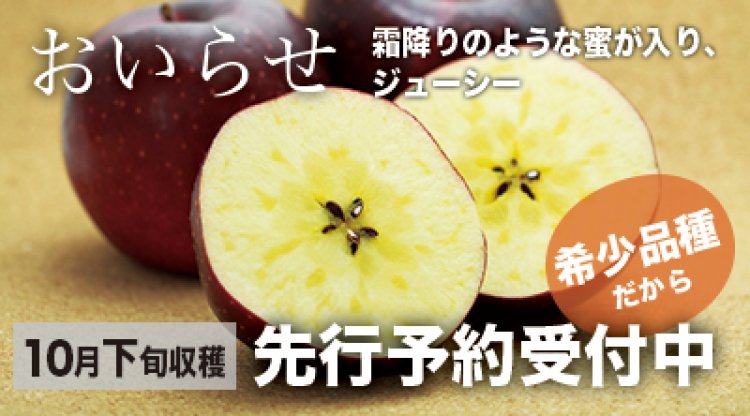 希少品種おいらせ、もりのかがやき先行予約受付中！