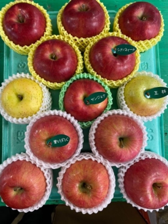 りんご定期便ってどうなの？