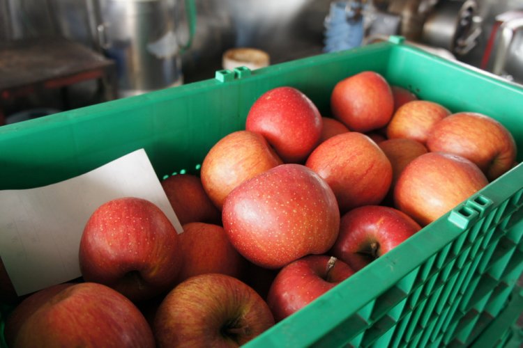 4月末まで加工受付しています。