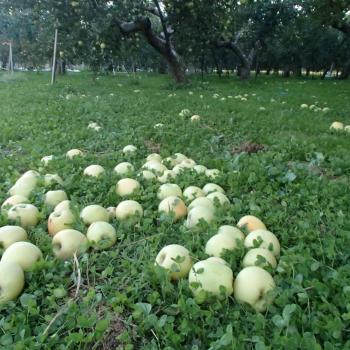 爆弾低気圧が過ぎ去りました。