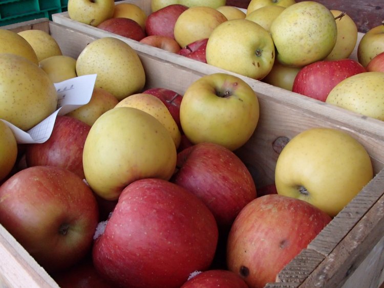 加工受付は４月２７日までです。