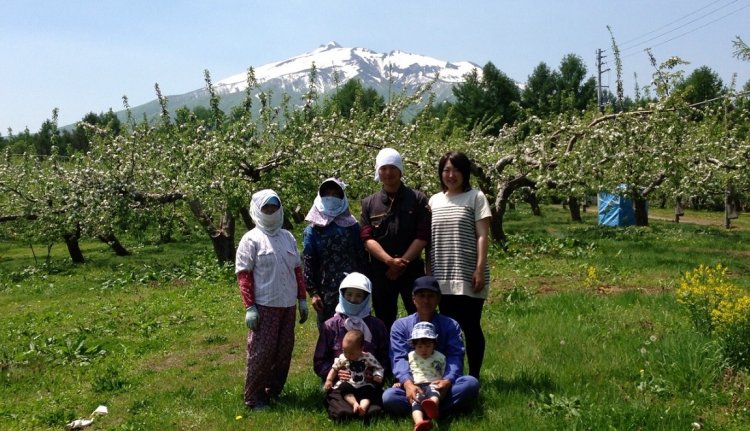 ジューシーで甘みの強いりんごをお届けします！「山りんごの里(齋藤りんご農園)」
