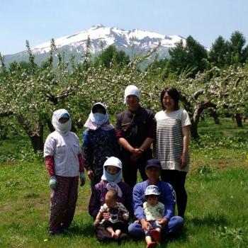 ジューシーで甘みの強いりんごをお届けします！「山りんごの里(齋藤りんご農園)」